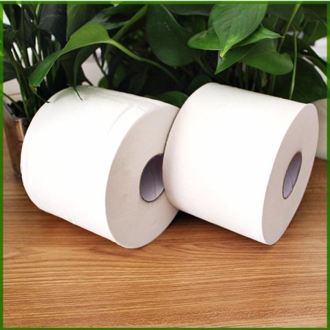 Toilet Tissue Roll